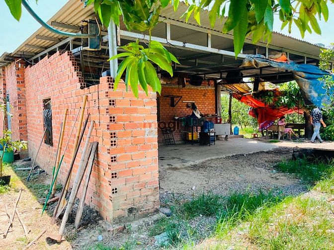 Hình ảnh Bán đất vườn có nhà cấp 4, 3 gian có vườn quýt