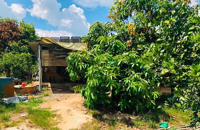 Hình ảnh Bán đất vườn có nhà cấp 4, 3 gian có vườn quýt