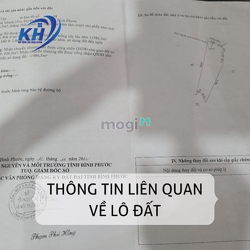 Hình ảnh Lô đất trộng huyện Bù Đốp, Bình Phước