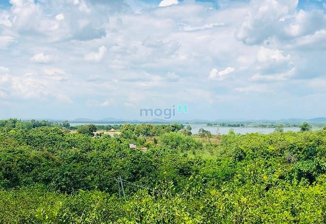 Hình ảnh Đất vườn quýt đường mặt tiền, Đồng Nai