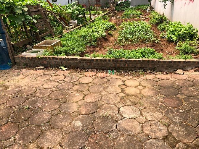 Hình ảnh Cần bán gấp lô 63m lô TT9 đấu giá Cự Khối, Long Biên.