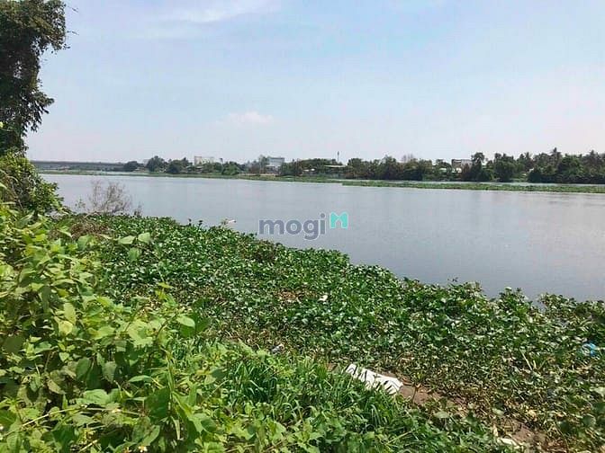 Hình ảnh BÁN NHÀ 586m2, có 471m2 Thổ Cư