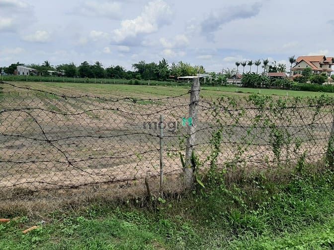 Hình ảnh Bán đất thổ cư có sổ tại TP HCM giá rẻ