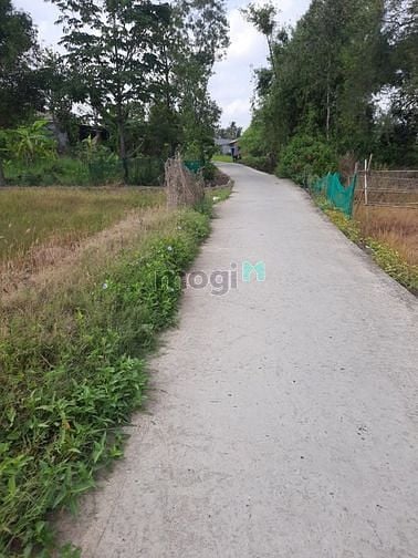 Hình ảnh Lô đất 5*30m full thổ cư, đường 4m, Ấp 4, Quê Mỹ Thạnh,Tân Trụ Long An