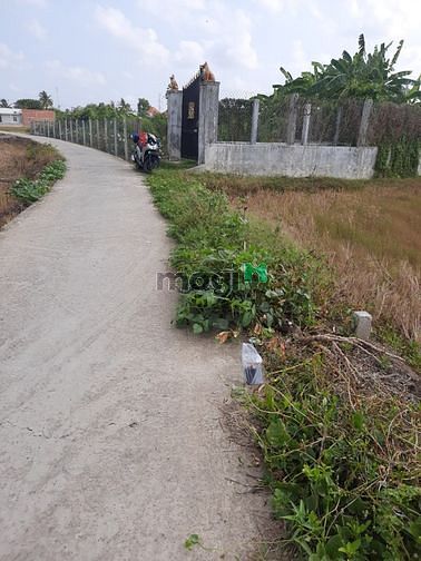 Hình ảnh Lô đất 5*30m full thổ cư, đường 4m, Ấp 4, Quê Mỹ Thạnh,Tân Trụ Long An