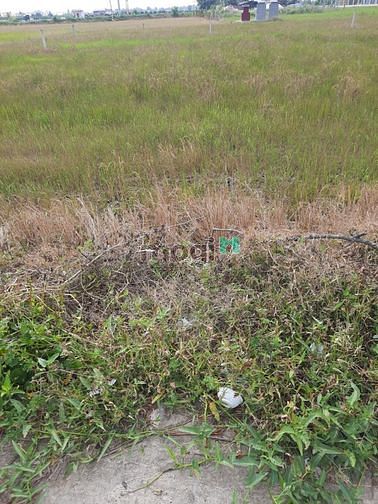 Hình ảnh Lô đất 5*30m full thổ cư, đường 4m, Ấp 4, Quê Mỹ Thạnh,Tân Trụ Long An