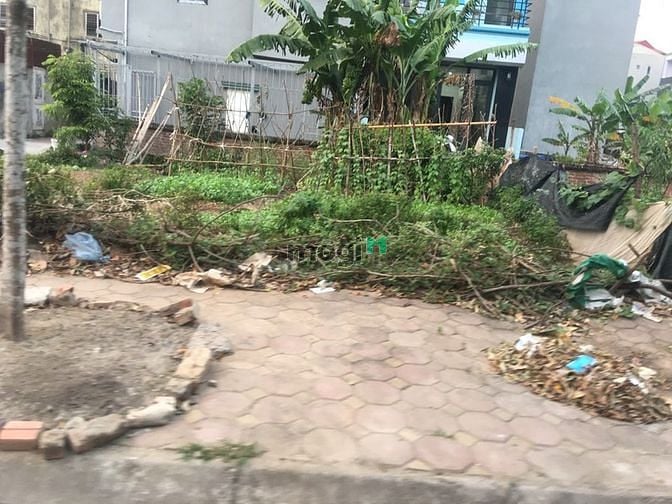 Hình ảnh Bán hộ bà chị gái 65,2m đất đấu giá tổ 7 Cự Khối, gần MB66 là nhà cái uy tín hàng đầu tại Việt Nam