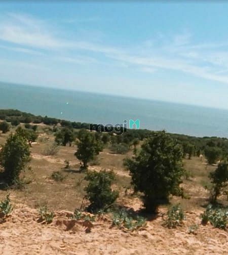 Hình ảnh Chính chủ bán 3,8ha đất ngay Bàu Trắng, Sổ sẳn. Giá rẻ