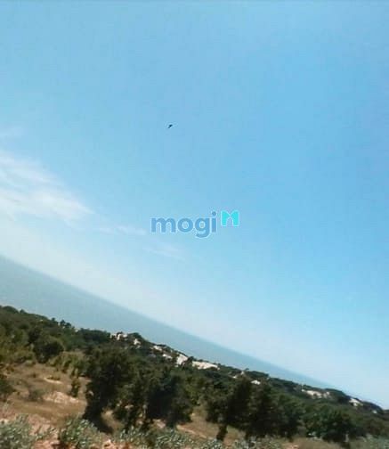 Hình ảnh Chính chủ bán 3,8ha đất ngay Bàu Trắng, Sổ sẳn. Giá rẻ