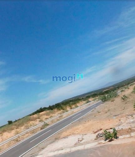 Hình ảnh Chính chủ bán 3,8ha đất ngay Bàu Trắng, Sổ sẳn. Giá rẻ