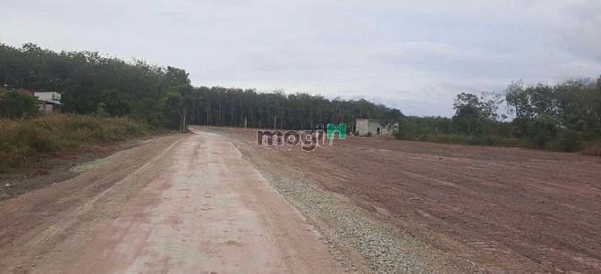 Hình ảnh Đất sào chính chủ cần bán ở Bình Phước