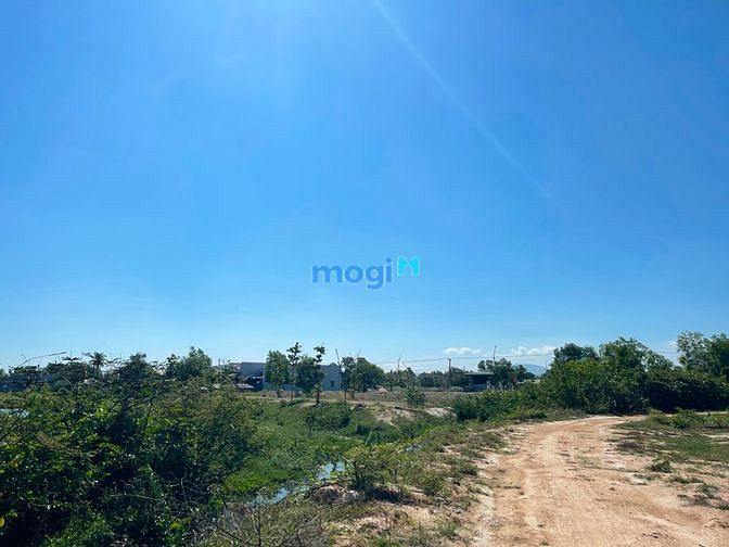Hình ảnh Bán đất thổ cư hẻm Quốc Lộ 55, Tân Phước, thị xã LaGi giá tốt