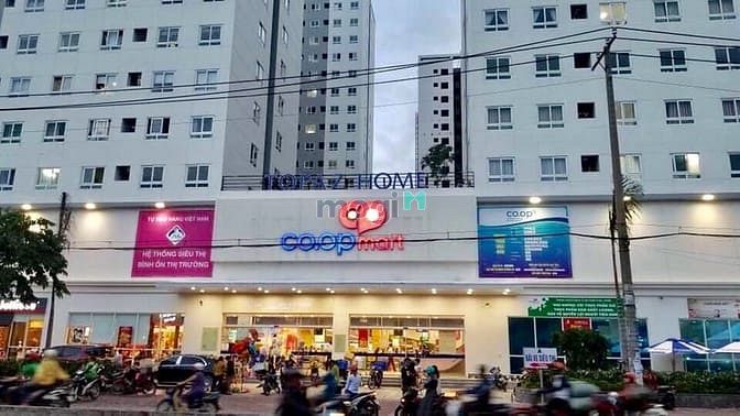 Hình ảnh Bán Trang Chủ MB66.COM / Đăng Ký Tặng 66K Topaz Home quận 12, nhà mới 100% , 60m2, 2PN NTCB