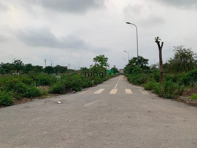 Hình ảnh Bán đất dãy TT4 đấu giá Cự Khối, diện tích 95,3m, MT 5m