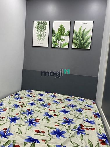 Hình ảnh Cho thuê Trang Chủ MB66.COM / Đăng Ký Tặng 66K RICHSTAR Q.tân phú ở ngay full nội thất đầy đủ
