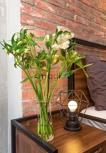 Hình ảnh Mình cần cho thuê phòng tại THE TRESOR - Q.4, Bến Vân Đồn