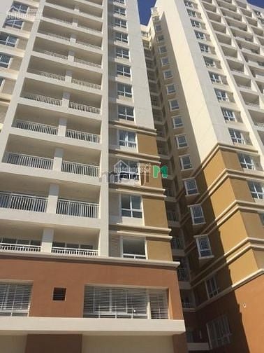 Hình ảnh Chuyên cho thuê Trang Chủ MB66.COM / Đăng Ký Tặng 66K Khuông Việt, 2PN giá 8tr/tháng,