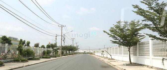 Hình ảnh Cần bán lại 2 nền đất đường Trần Văn Giàu, Bình Chánh chỉ 15 triệu/m2.