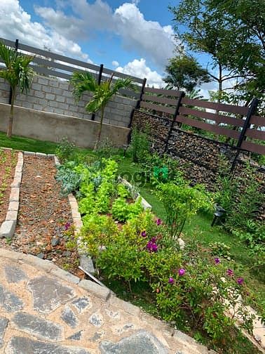 Hình ảnh Đất nghỉ dưỡng Lâm Đồng view đẹp