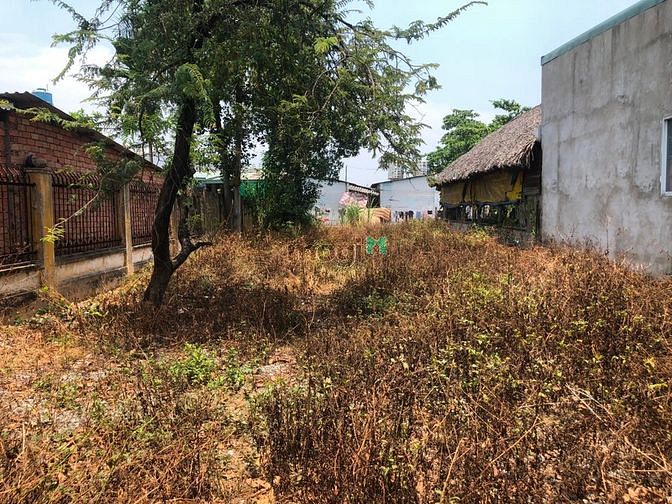 Hình ảnh Cho thuê đất 9 x 40 Mt chòm sao, Thuận An, BD.