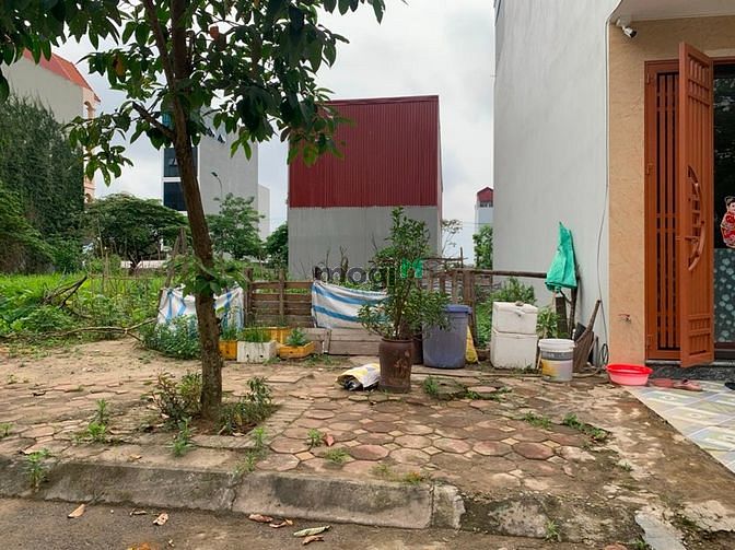 Hình ảnh Vỡ mộng lấy vợ bán gấp 39,4m 31ha Trâu Quỳ phá giá