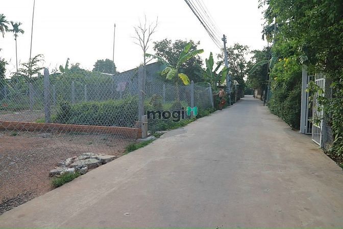 Hình ảnh Bán đất P. Bình Nhâm, TP.Thuận An, DT:5.2×32, TC60m2, SHR, giá 2,85 tỷ