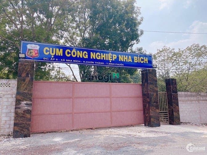 Hình ảnh Bán rẻ 4600m2, ngay QL 14, SHR, Thổ cư, ngay KCN Nha Bích
