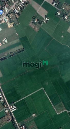 Hình ảnh Bán gấp đất 100% full thổ cư 33x54 vuông 2 mặt tiền đường 16m
