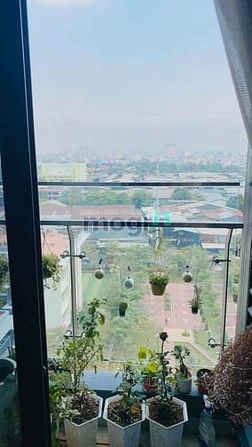 Hình ảnh Cho thuê Trang Chủ MB66.COM / Đăng Ký Tặng 66K Kingdom 101 Tô Hiến Thành Quận 10