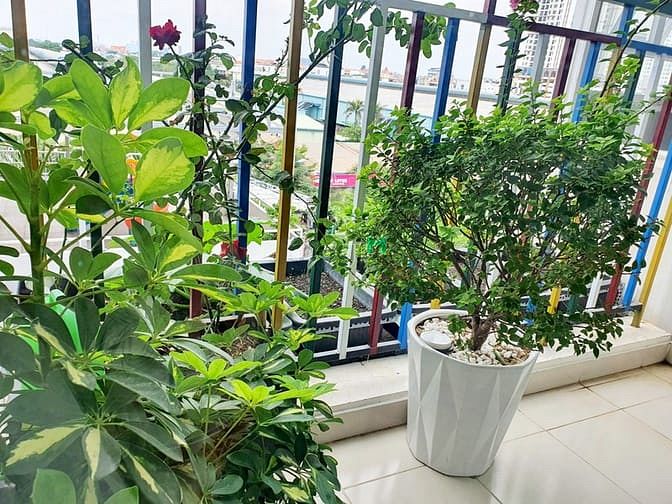 Hình ảnh Mb6623 nạp rút nhanh chóng cao cấp Him Lam Phú Đông