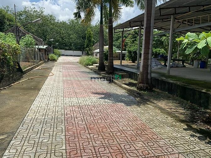 Hình ảnh ĐẤT MT - Trần Đình Xu- Q1 - 1184m2 Chỉ 300 Tỷ
