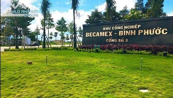 Hình ảnh Bán đất 8000m2,ngay trung tâm xã Nha Bích,Chơn Thành,Bình Phước