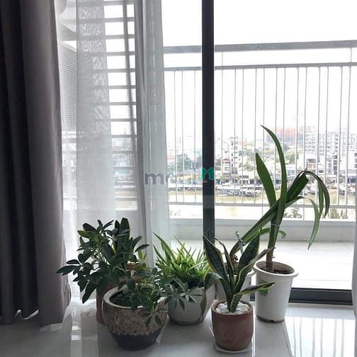 Hình ảnh Cho thuê CHCC RIVA PARK - 2pn 2wc
