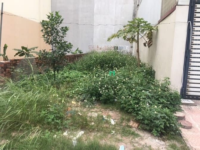 Hình ảnh Cần bán rất gấp mảnh đất 40,2m ngõ 33 Giang Biên, cứu gấp