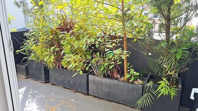 Hình ảnh Siêu phẩm 4 Sao Điện Biên Phủ, 100m2, Hẻm 6M, Rạp Chiếu Phim Tại Nhà.