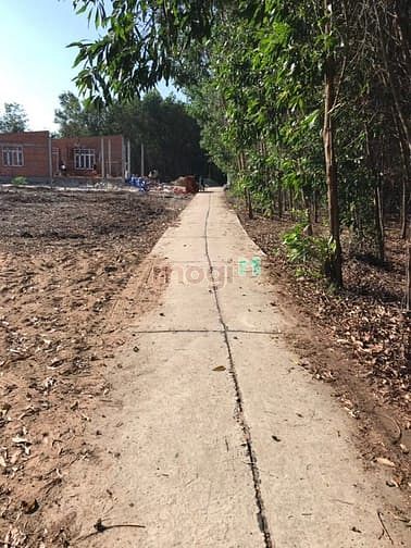 Hình ảnh Đất Tân Thắng , Bình Thuận. Sát trường học cấp 3. Giá 1 tỷ 550 tr.