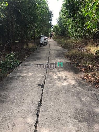Hình ảnh Đất Tân Thắng , Bình Thuận. Sát trường học cấp 3. Giá 1 tỷ 550 tr.