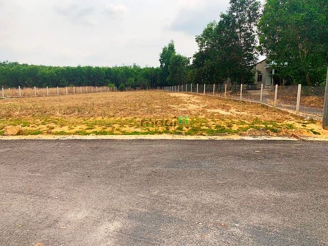 Hình ảnh Bán đất SHR, Giá tốt diện tích đa dạng 1000m2, 2000m2, 5000m2....