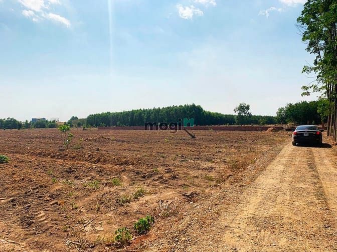 Hình ảnh Bán đất SHR, Giá tốt diện tích đa dạng 1000m2, 2000m2, 5000m2....