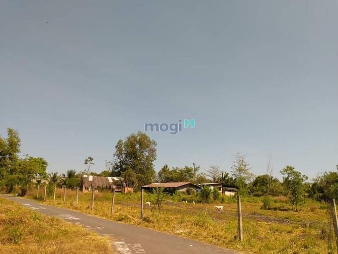 Hình ảnh Bán đất SHR, Giá tốt diện tích đa dạng 1000m2, 2000m2, 5000m2....