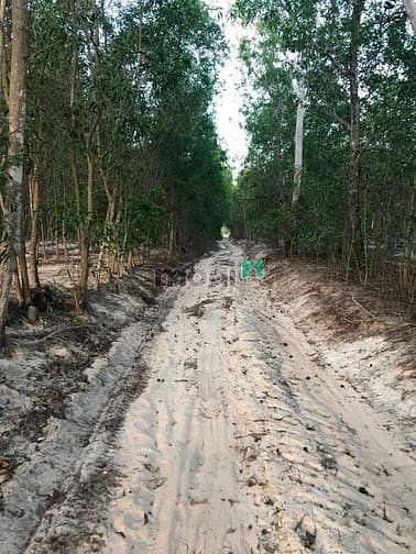 Hình ảnh 4 mẫu đất thôn 2 , Sơn Mỹ . bình thuận. Giá 8 tỷ 200