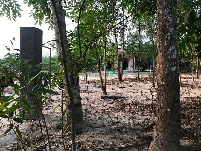 Hình ảnh 4 mẫu đất thôn 2 , Sơn Mỹ . bình thuận. Giá 8 tỷ 200