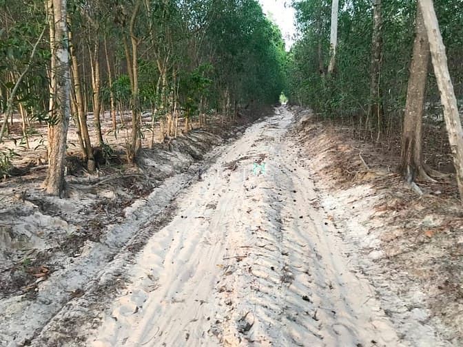 Hình ảnh 4 mẫu đất thôn 2 , Sơn Mỹ . bình thuận. Giá 8 tỷ 200
