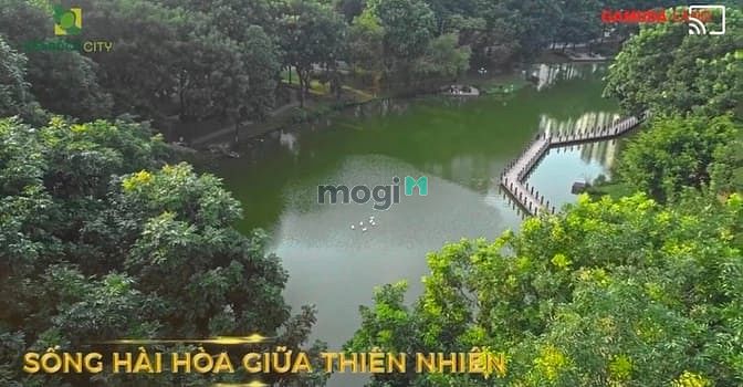Hình ảnh Bán gấp 96m2 Diamond Brilliant, view hồ sinh thái, trúng voucher 200tr