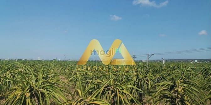 Hình ảnh Đầu tư đất Bình Thuận 70k/m2 đón đầu Sân bay Phan Thiết