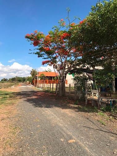 Hình ảnh Bán đất sẵn 200m2 thổ cư biển Hồ Tràm ngay KDC liền kề dự án lớn