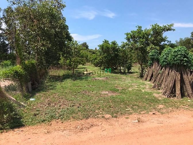 Hình ảnh Đất sát trường tiểu học Cô Kiều, Bình Thuận. Giá 1 tỷ 250 tr.