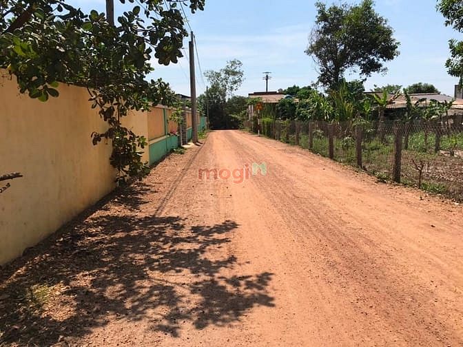 Hình ảnh Đất sát trường tiểu học Cô Kiều, Bình Thuận. Giá 1 tỷ 250 tr.