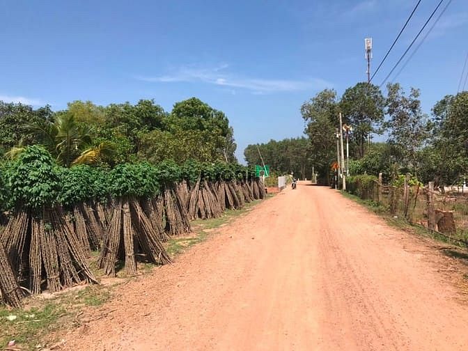 Hình ảnh Đất sát trường tiểu học Cô Kiều, Bình Thuận. Giá 1 tỷ 250 tr.
