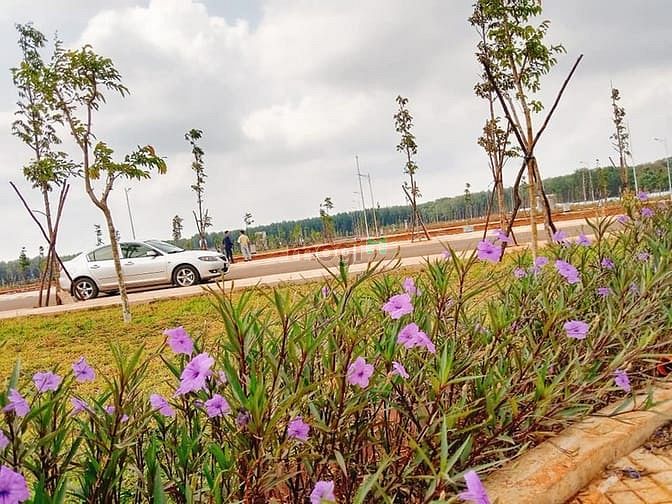 Hình ảnh đất dự án khu đô thị khu đô thị ân phú